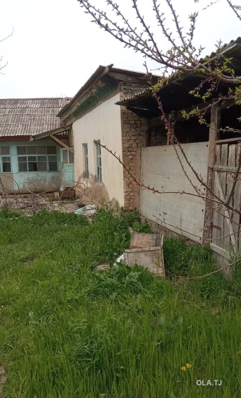 Дом (хавли), 4 комнат, 1 эт