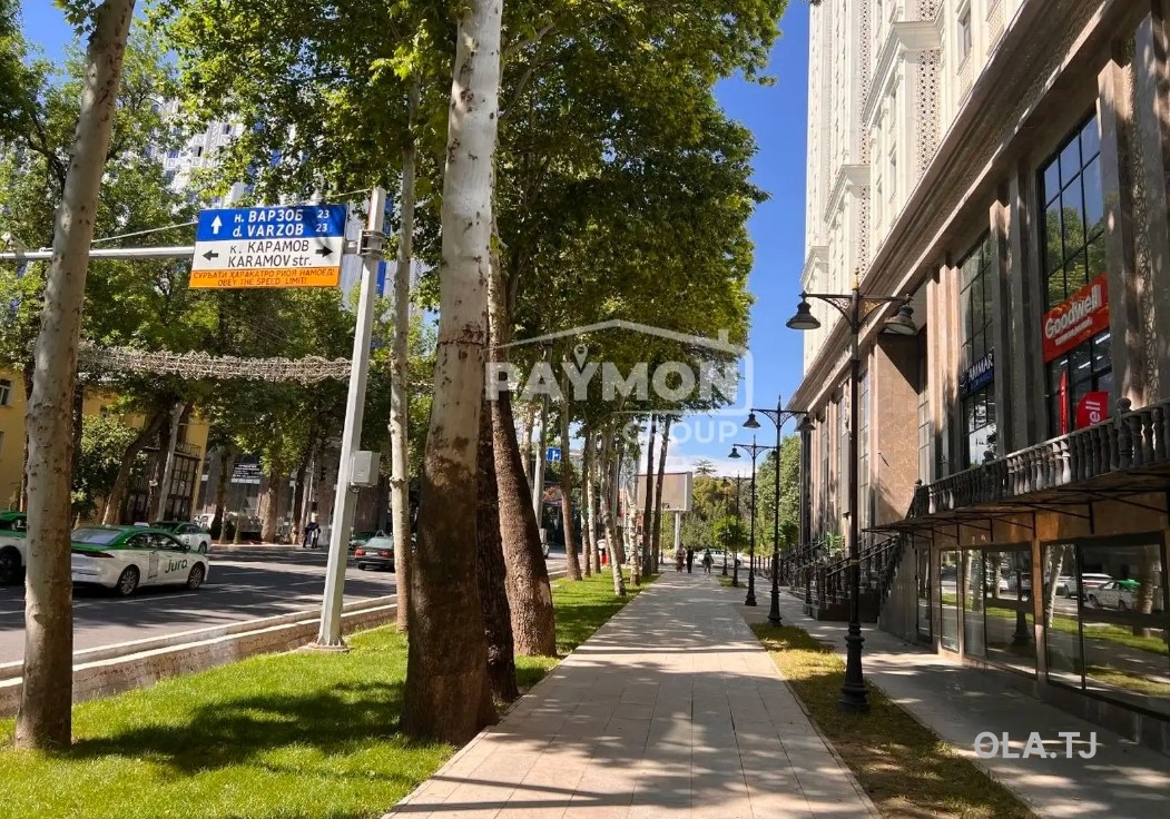Помещение под свободное назначение, 250м²