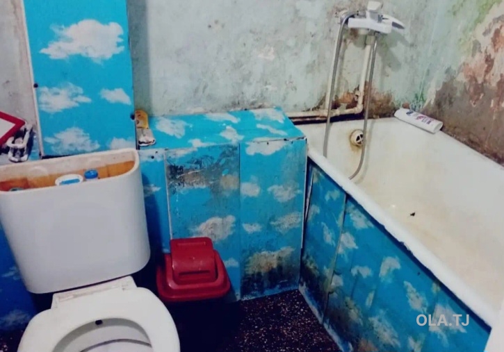 1 комнатная квартира, 1 этаж, 41 м²