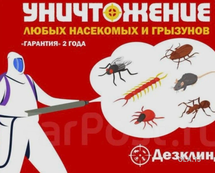 услуги дезинфекции