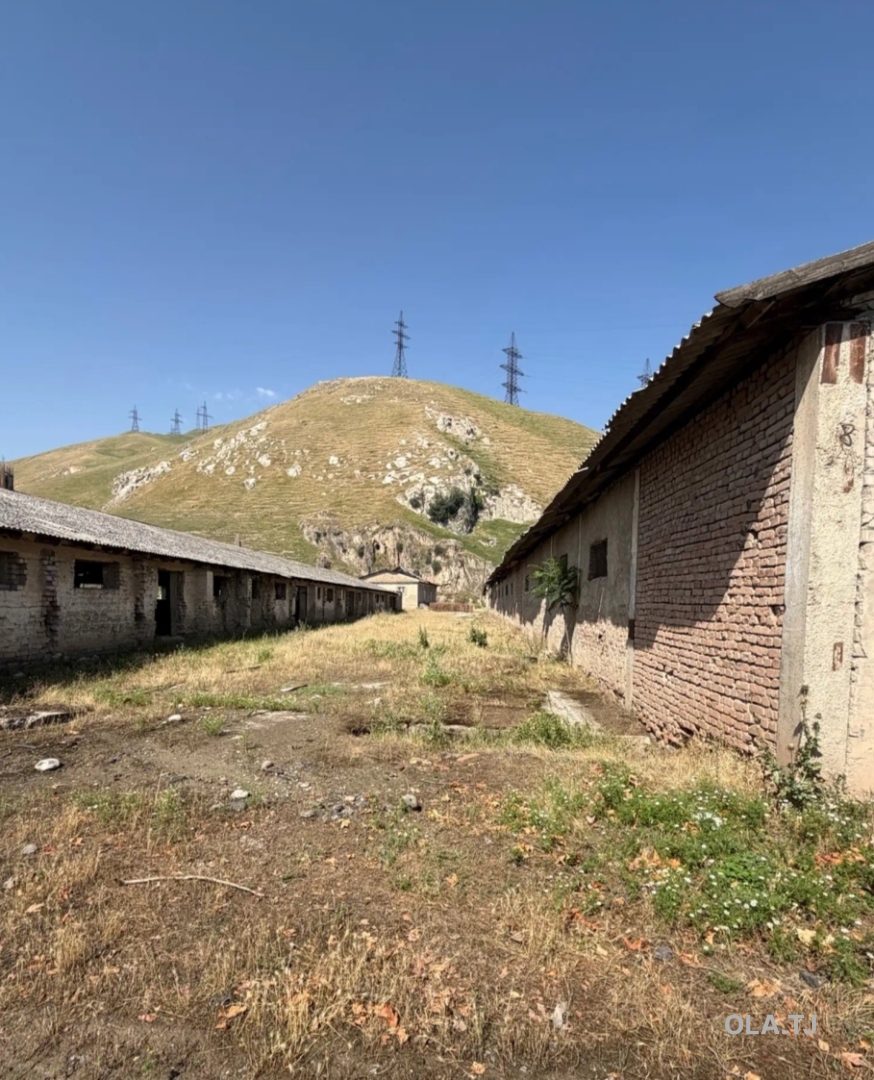 Офис в аренду, В бизнес-центре, 999 м²