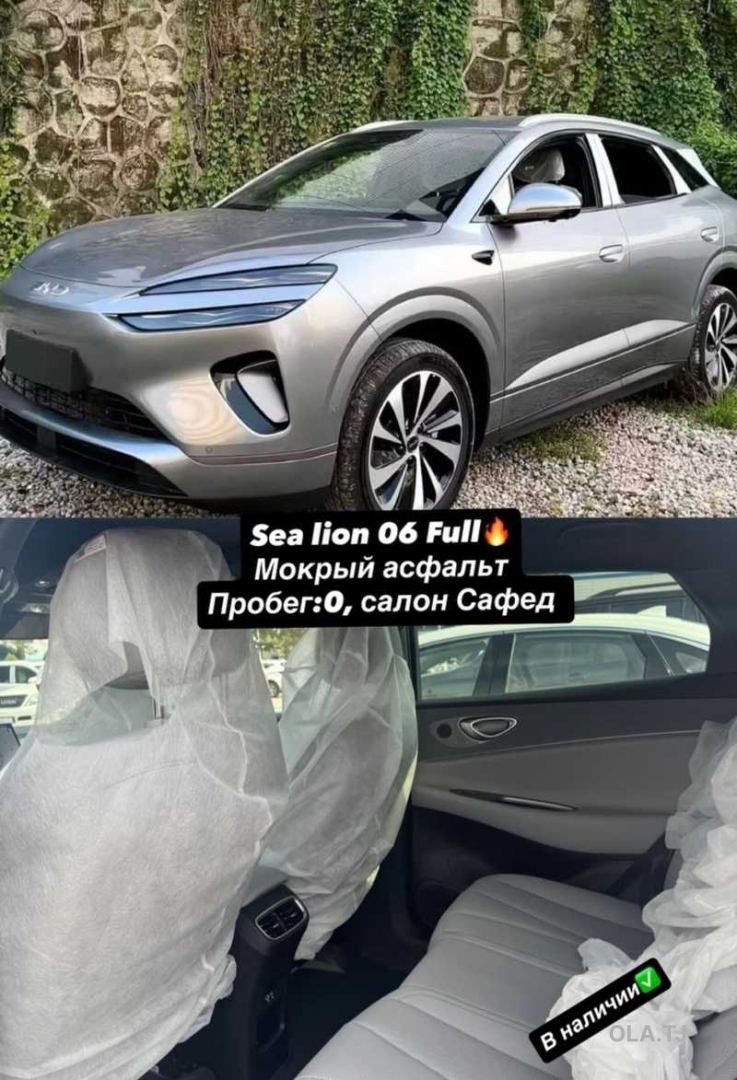 BYD Sea Lion 06,  2026