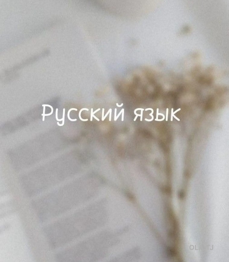 Русский язык