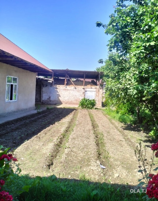 Дом (хавли), 5 комнат, 2 эт