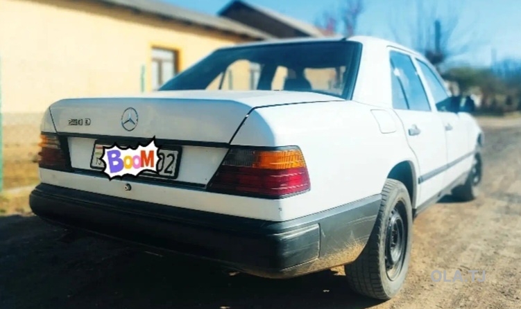 Mercedes-Benz W124,  1989