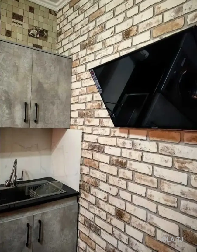 1 комнатная квартира, 1 этаж, 50 м²