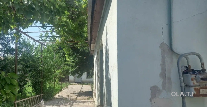 Дом (хавли), 5 комнат,