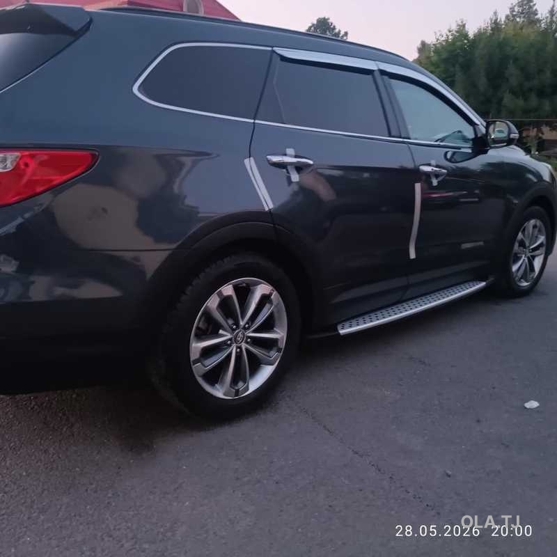 Hyundai Maxcruz,  2014