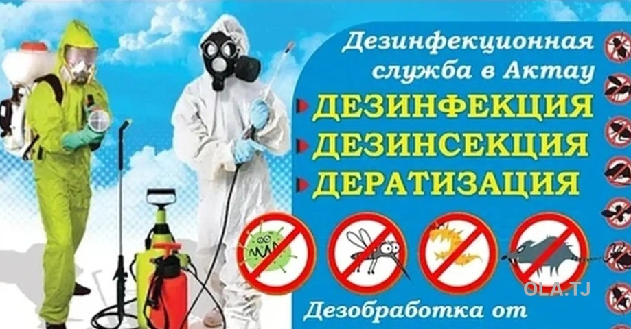услуги дезинфекции