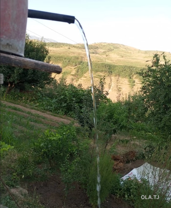 Дом (хавли), 6 комнат, 2 эт