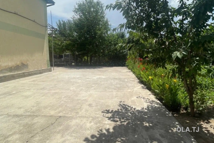 Дом (хавли), 8 комнат,