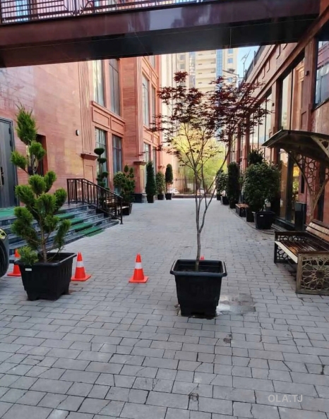 1 комнатная квартира, 20 этаж, 48 м²