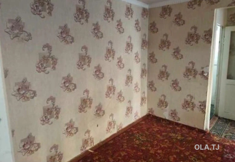 2 комнатная квартира, 1 этаж, 50 м²