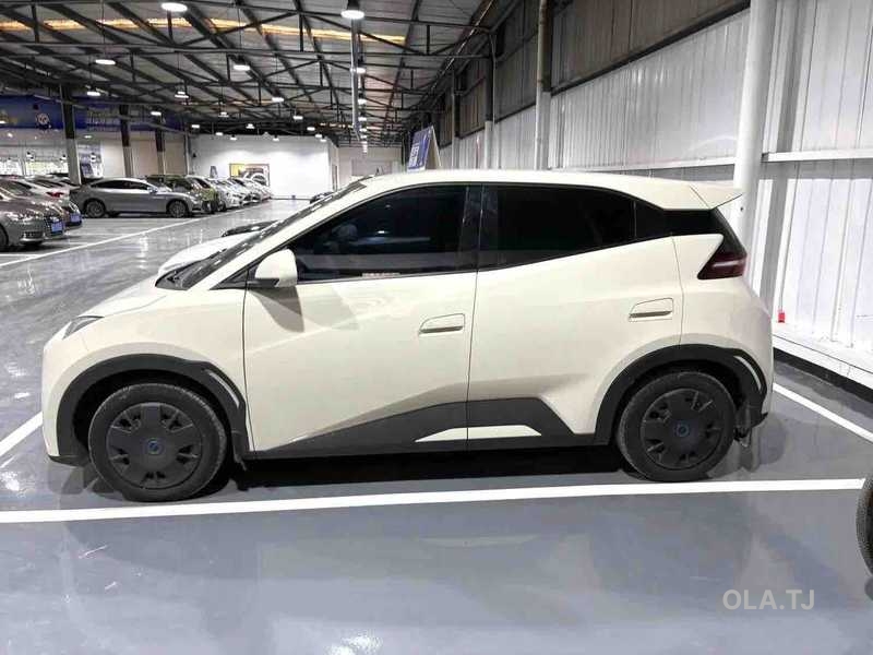 BYD Seagull,  2025