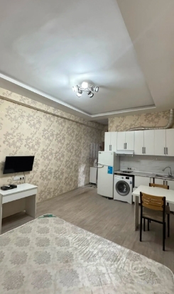 1 комнатная квартира, 11 этаж, 26 м²