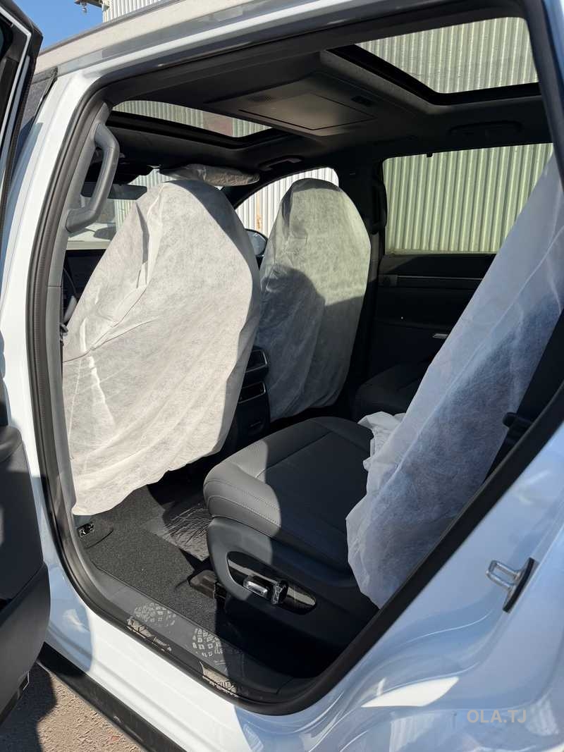 Dongfeng EP 008, 2026