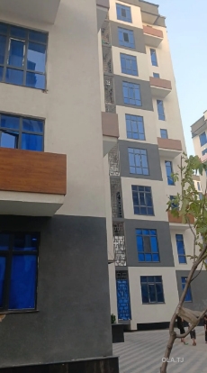 1 комнатная квартира, 7 этаж, 55 м²
