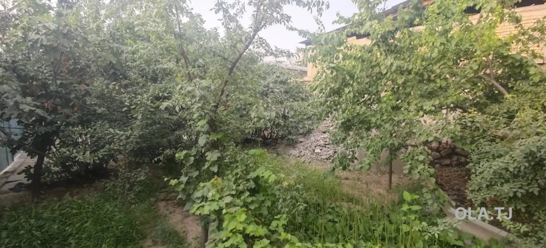 Дом (хавли), 4 комнат, 1 эт