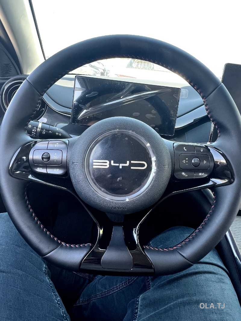 BYD E2,  2025
