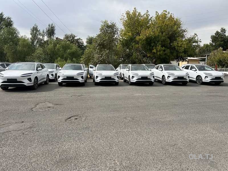 BYD Sea Lion 06,  2025