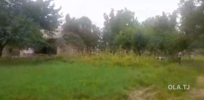 Дом (хавли), 2 комнат,