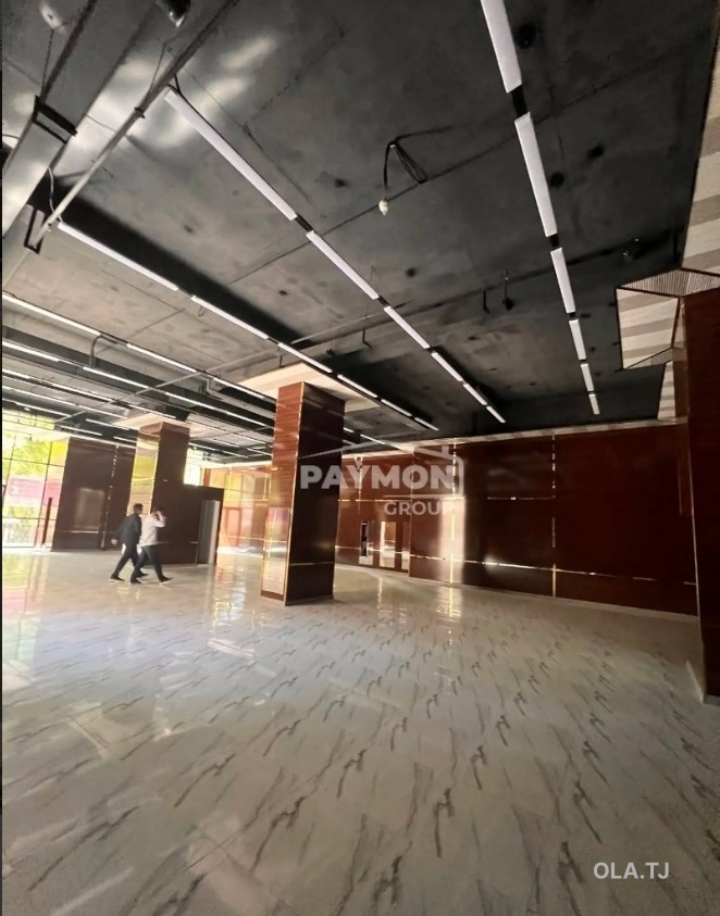 Помещение под свободное назначение, 250м²