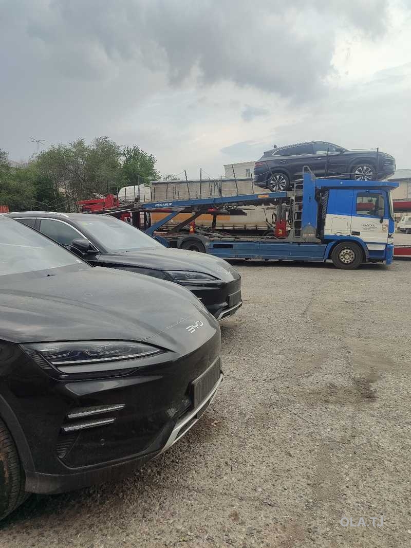 BYD Sea Lion 06,  2025