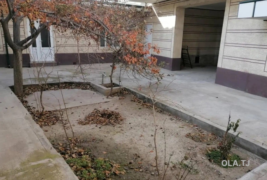 Дом (хавли), 7 комнат,