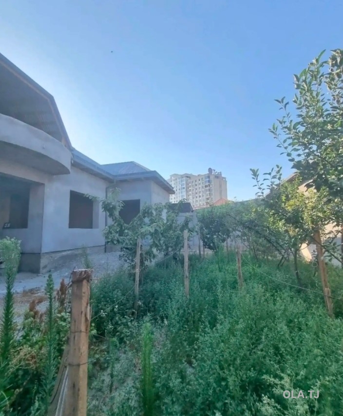 Дом (хавли), 10+ комнат, 1 эт