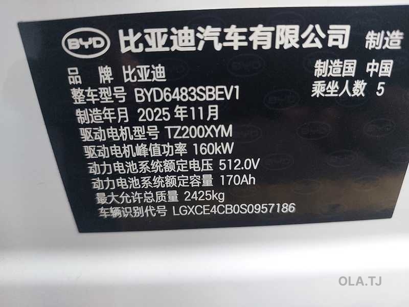 BYD Sea Lion 06,  2025