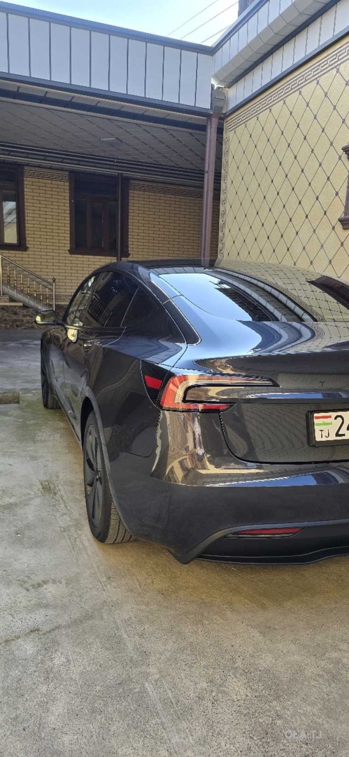 Tesla Другая модель,  2025