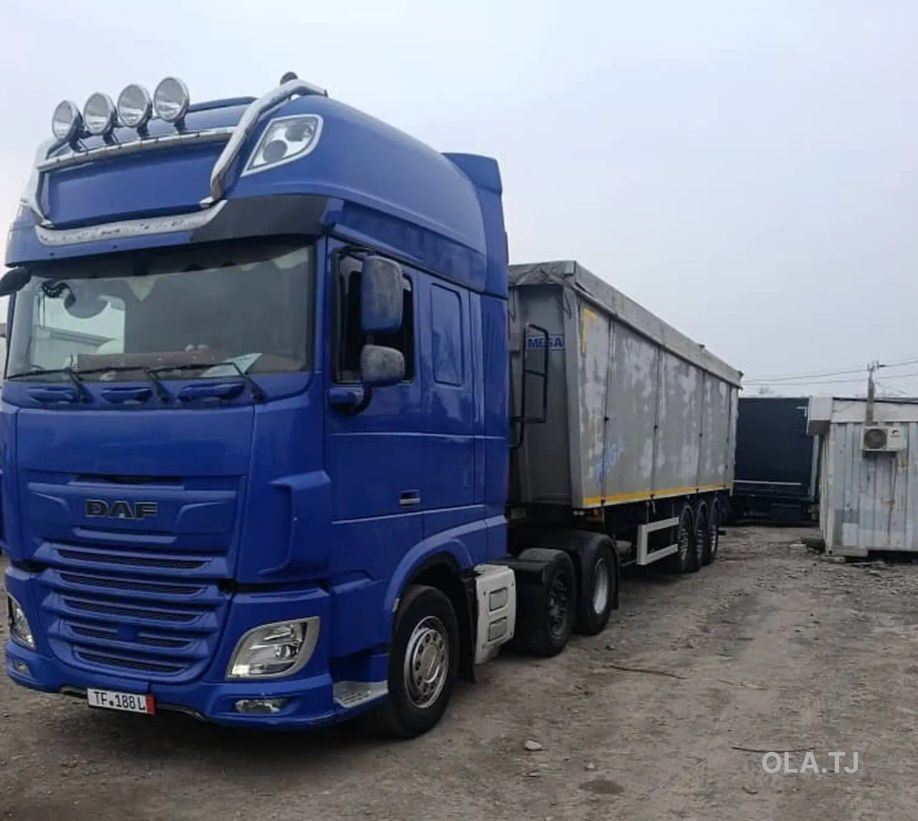 Daf 106×530,2018 голова