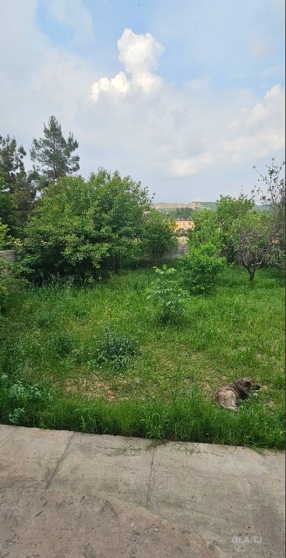 Дом (хавли), 8 комнат, 3 эт