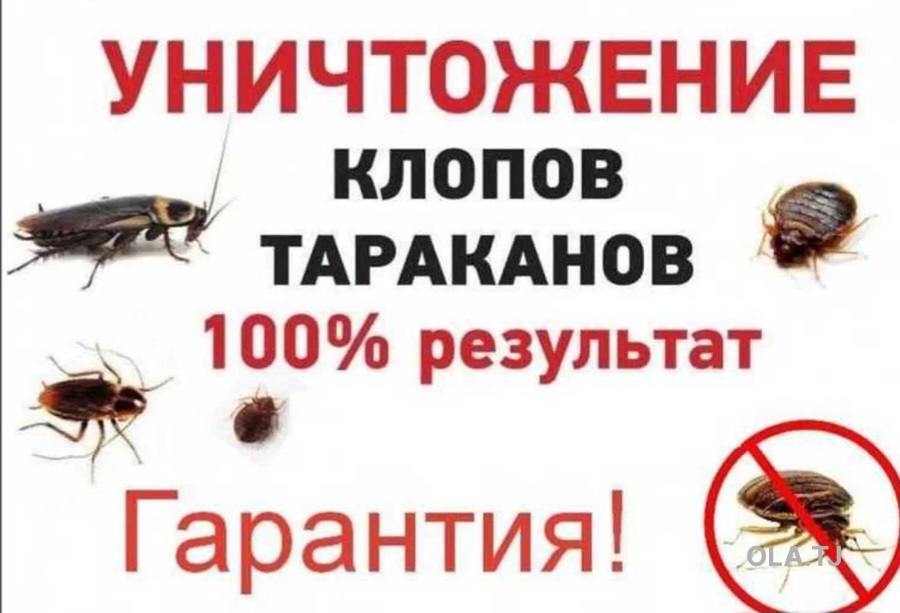 услуги дезинфекции