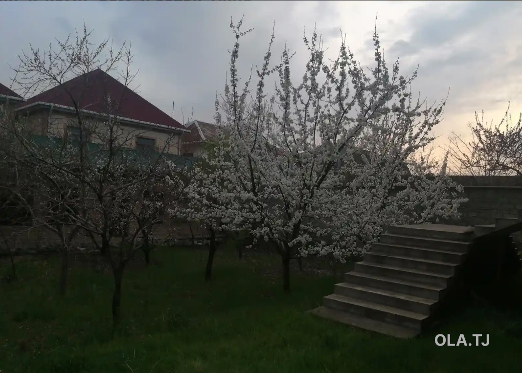 Дом (хавли), 8 комнат, 2 эт