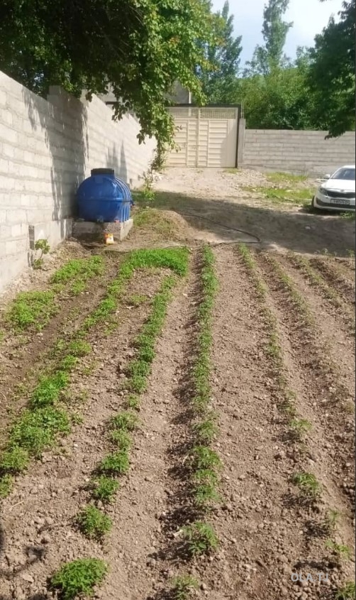 , , 1 эт