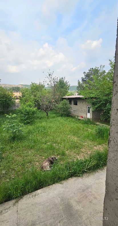 Дом (хавли), 8 комнат, 3 эт