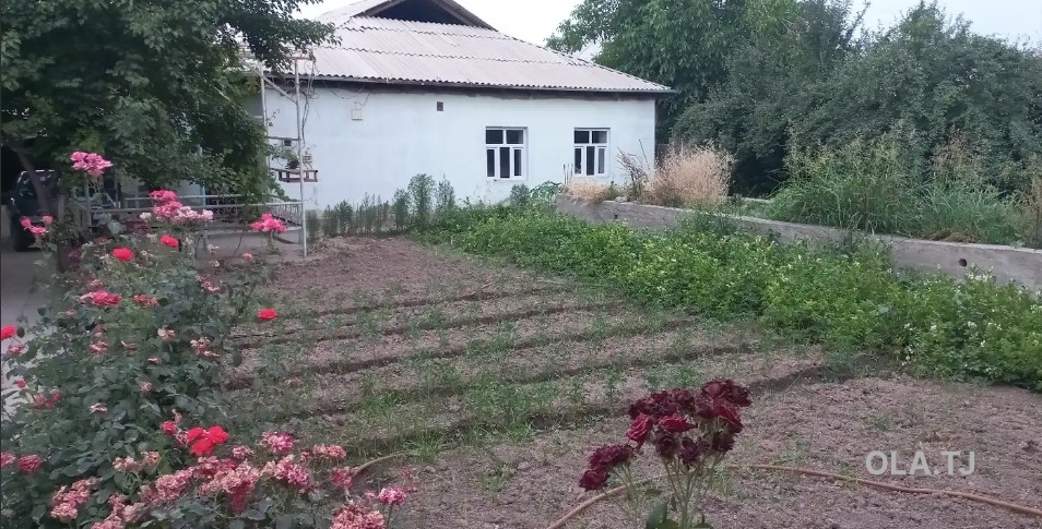 Дом (хавли), 4 комнат, 1 эт