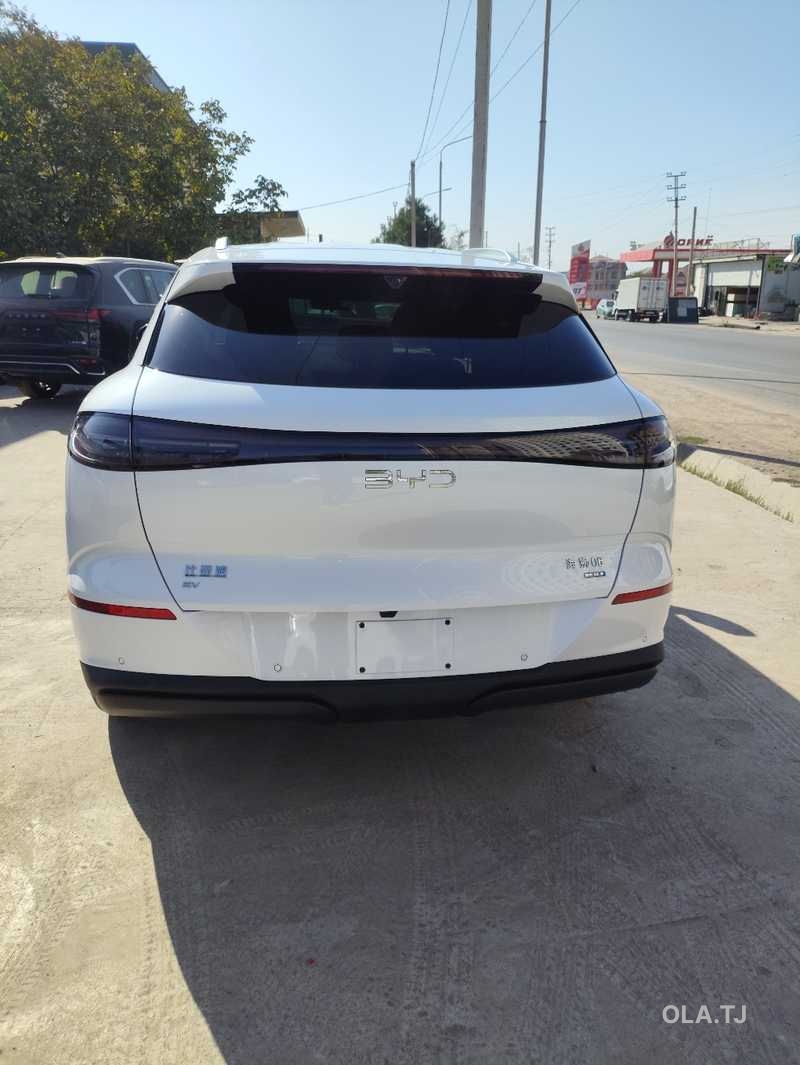 BYD Sea Lion 06,