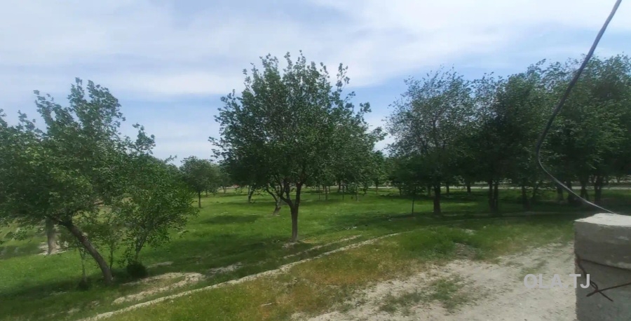1 комнатная квартира, 1 этаж, 34 м²