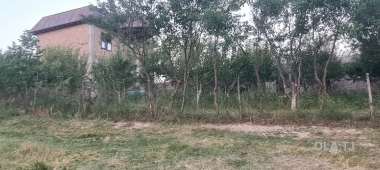 Дом (хавли), 4 комнат,