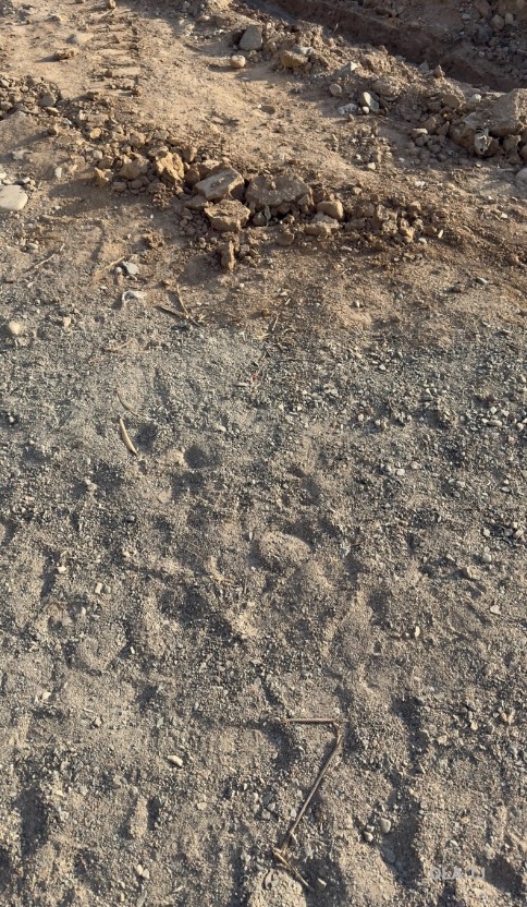 Дом (хавли), 1 комнат, 1 эт