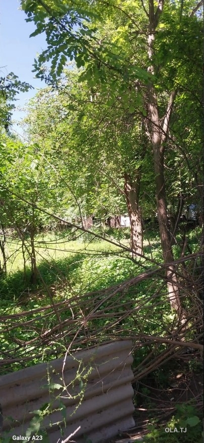 Дом (хавли), 3 комнат, 1 эт