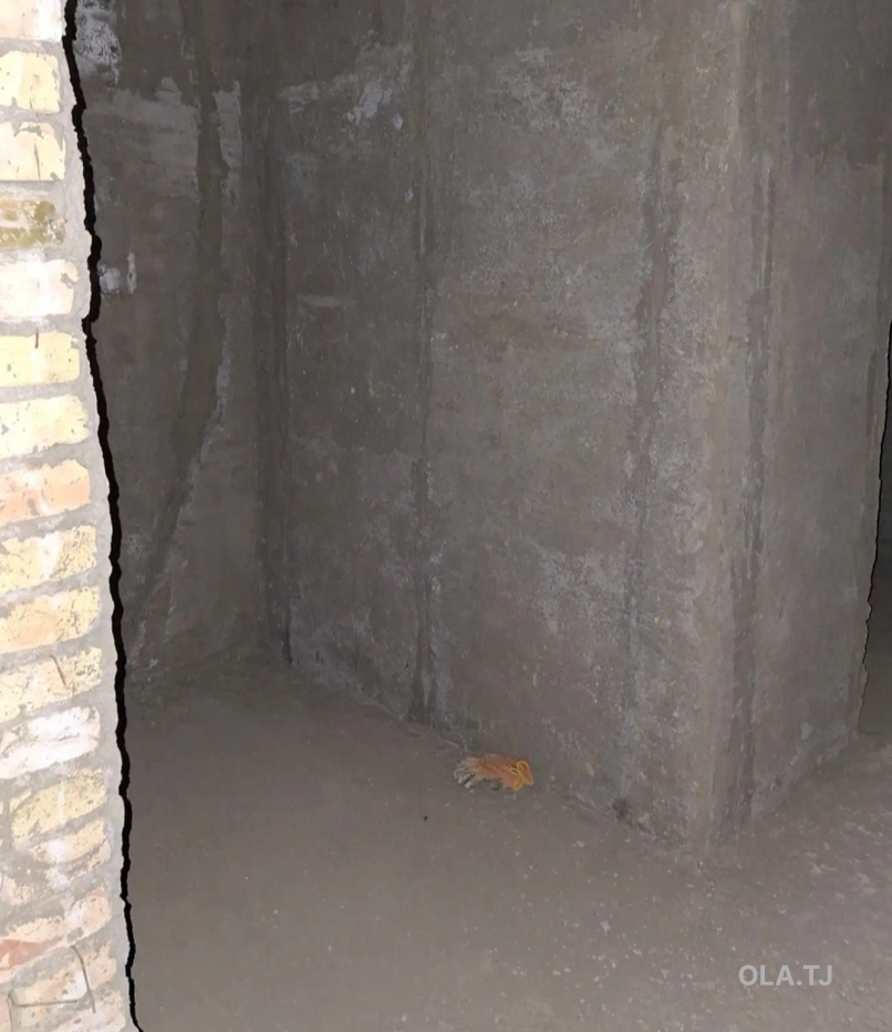 1 комнатная квартира, 8 этаж, 49 м²