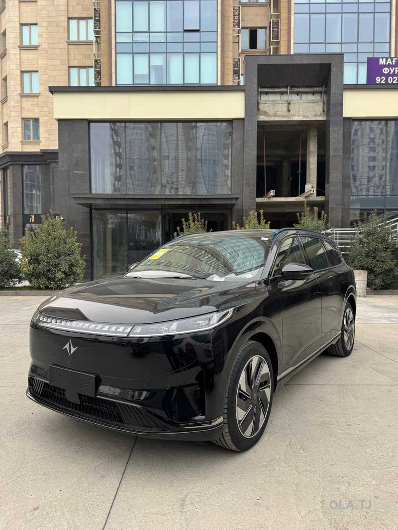 Dongfeng EP 008, 2025