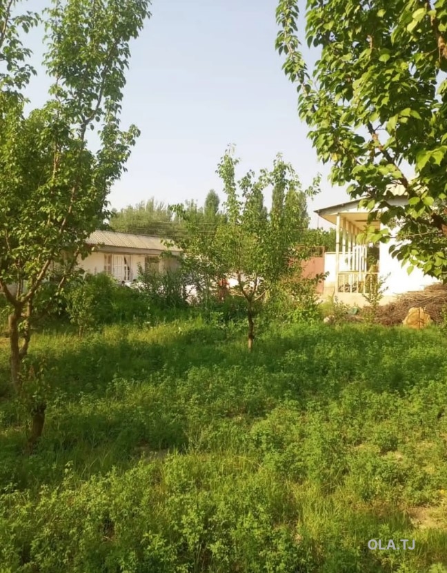 Дом (хавли), 7 комнат, 1 эт