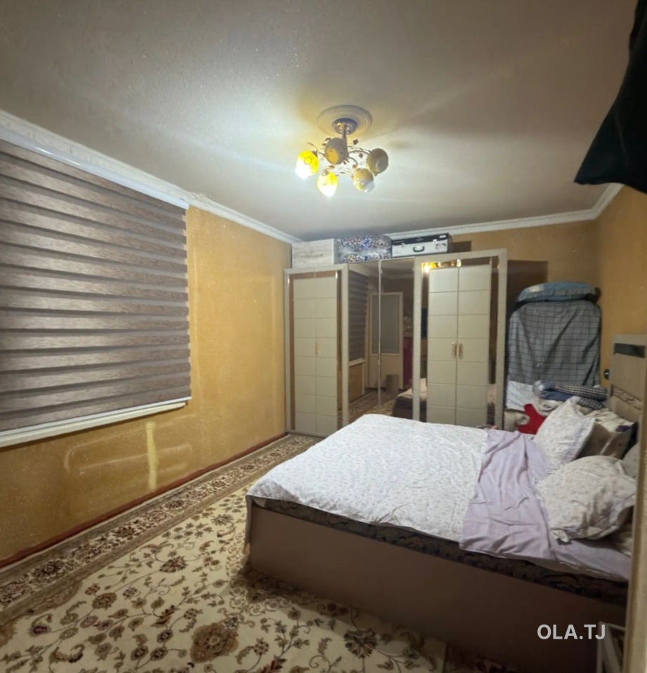 1 комнатная квартира, 1 этаж, 53 м²