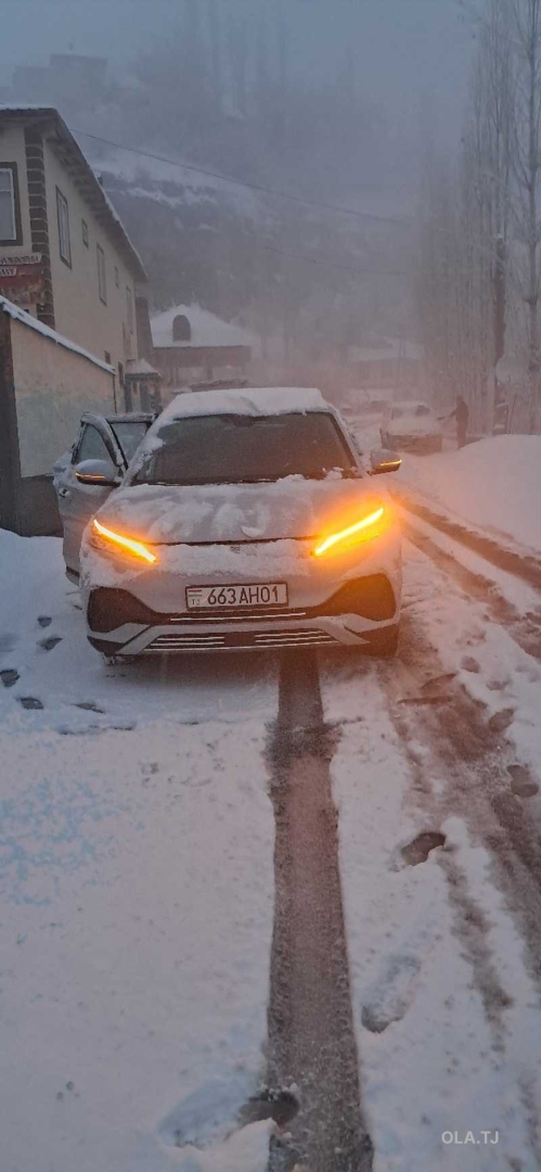 BYD Yuan Plus,  2024