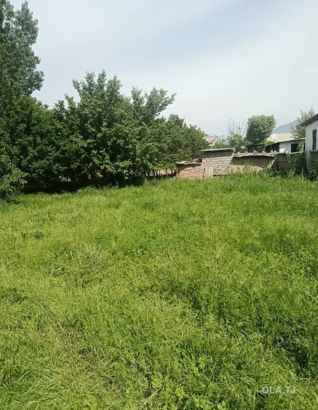 Дом (хавли), 6 комнат, 1 эт