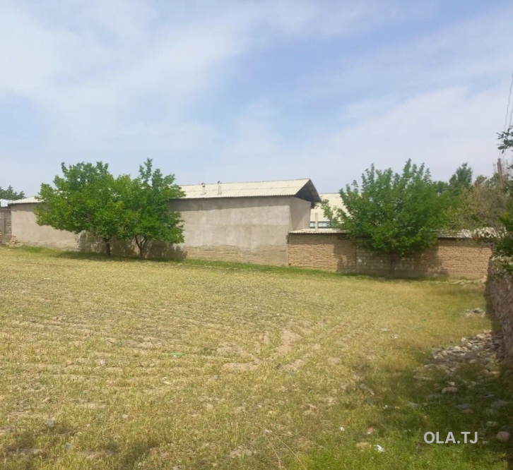 Дом (хавли), 2 комнат,